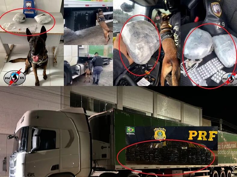 Doguinha da K-9 complica ainda mais situação de carreteiro de Linhares