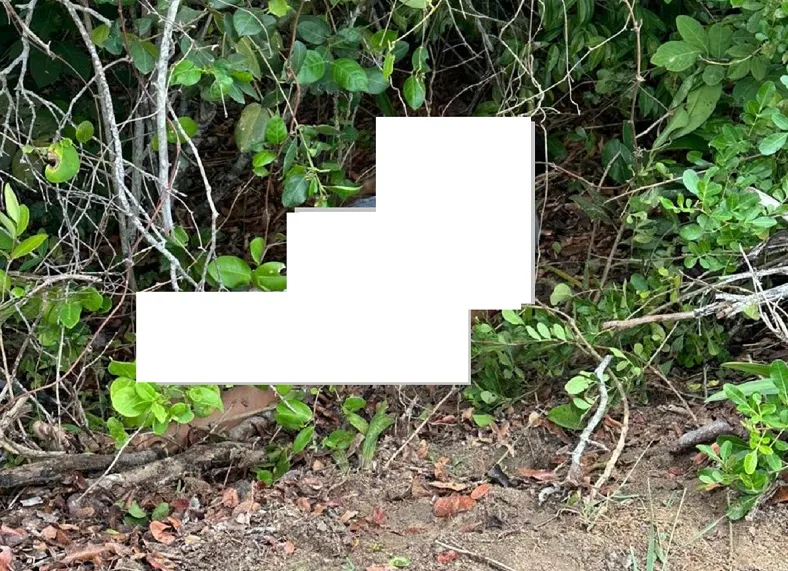 Corpo encontrado na “reta do Riozinho”, no Pontal. Tem marcas de violência