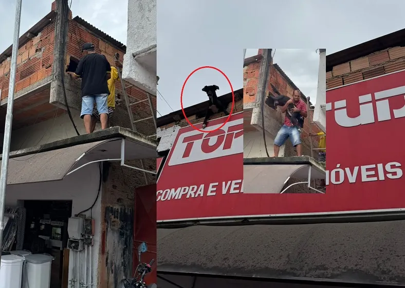 Doguinha se desespera com fogos e fica presa em local inusitado em Linhares. População fez o resgate