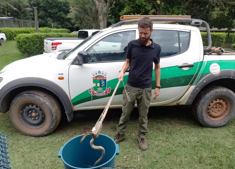 Jararacuçu é recolhida em clube recreativo de Linhares