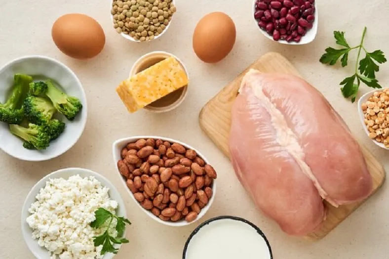 Qualidade da proteína importa mais do que volume: o que você deve saber?