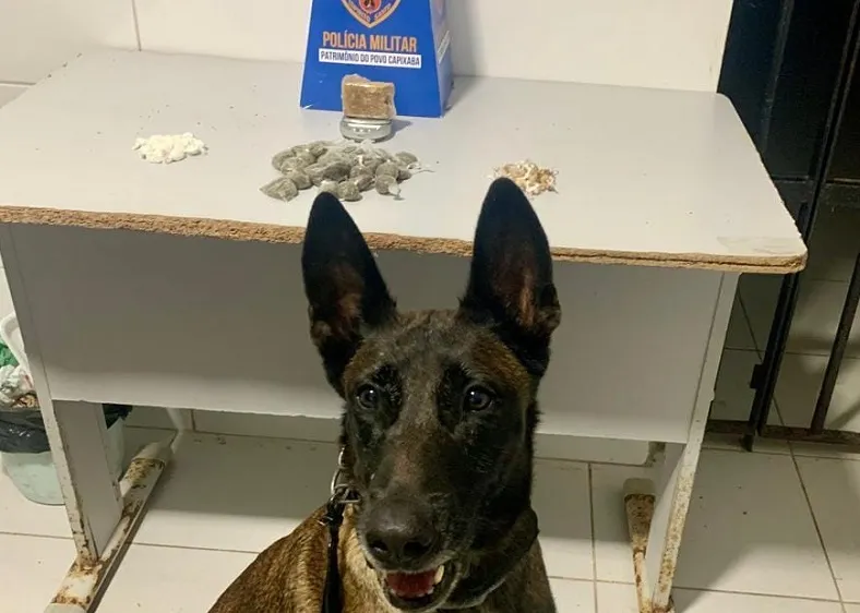 Bairro Aviso: Crack, cocaína e maconha apreendidos pela equipe K-9 em Linhares