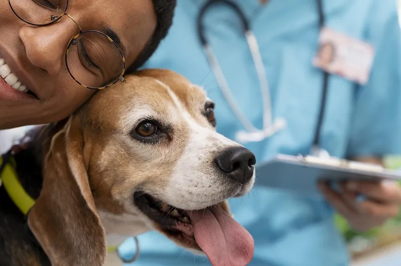 Como a tecnologia auxilia veterinários nos cuidados com pets
