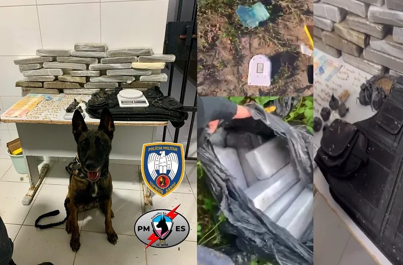Mais de 20kg de drogas apreendidos em Linhares, no Aviso e Interlagos