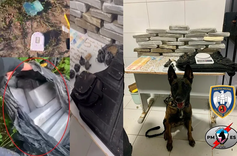 Beco dos Primos deu origem a grande apreensão de drogas em Linhares