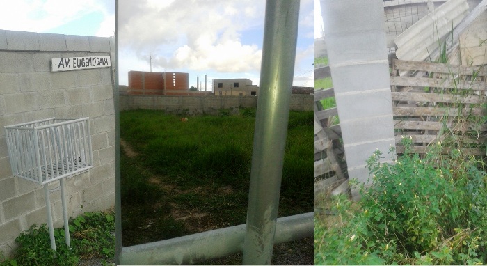 Animais presos ao relento, sem água e comida no Boa Vista