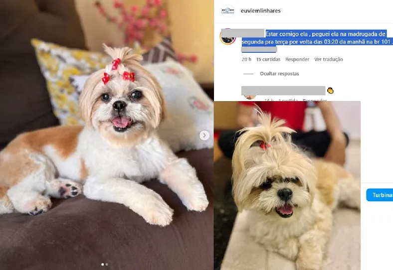 Mel encontrada! Foi após ser reconhecida no “Insta” do Eu Vi em Linhares