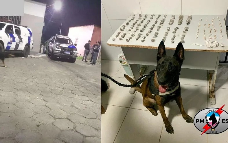 K-9 no Aviso: Baque após denúncia no Beco do Nego Dito em Linhares