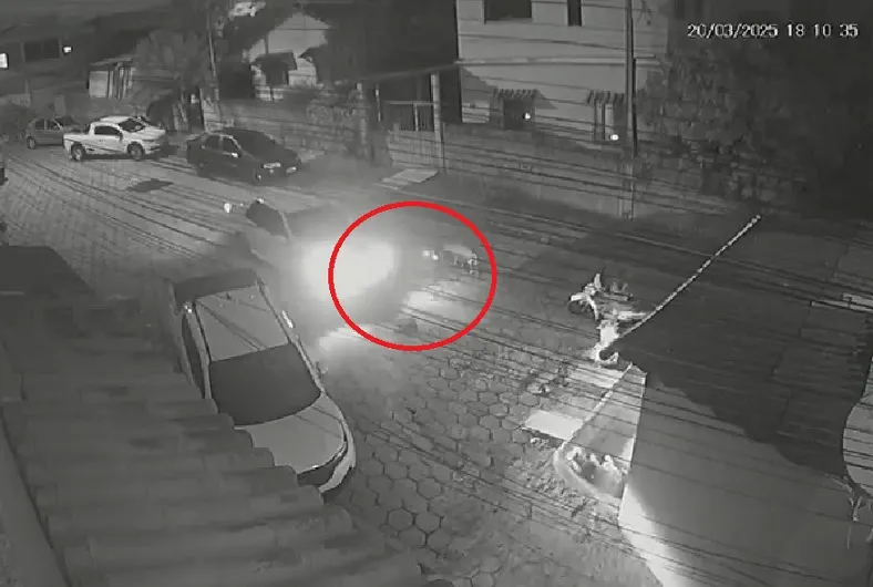 Doguinho atropelado no Aviso, Linhares. Ong acionou Polícia Civil