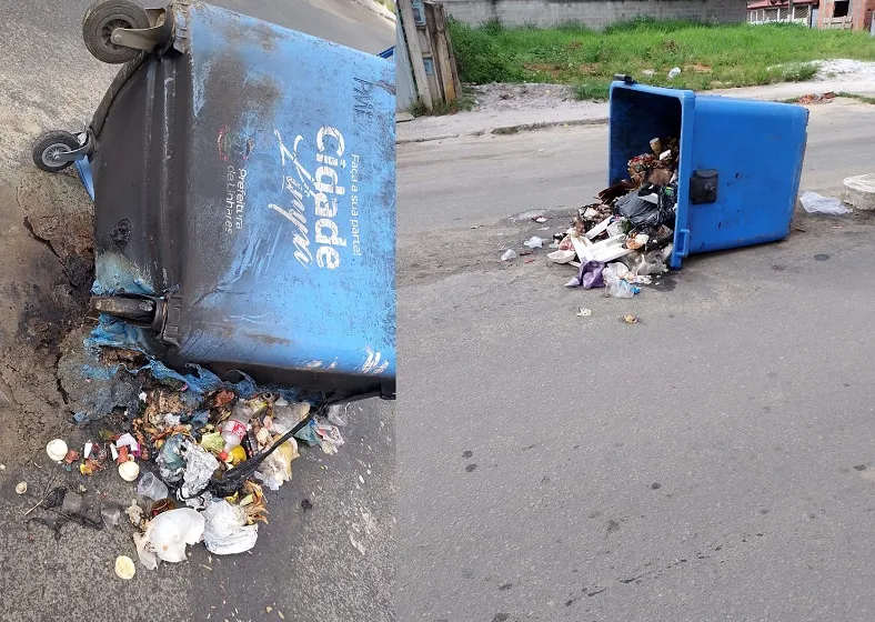 Vandalismo na lixeirona em Bebedouro, Linhares