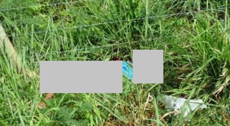 Corpo encontrado em área de mato e perto de cerca. PM de Linhares diligencia