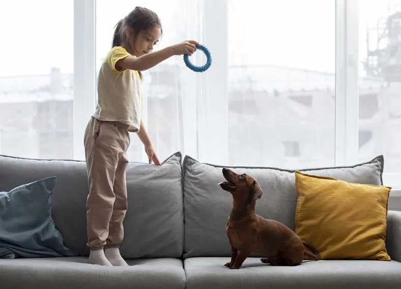 Tem crianças e pets em casa? O segredo para manter seu sofá como novo por mais tempo