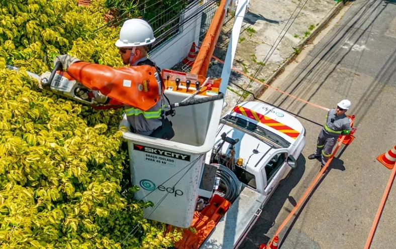 Mutirão de poda em Nova Venécia reforça segurança no fornecimento de energia