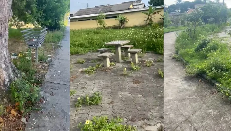 Mato na praça do Jardim Laguna, Linhares. Muito cuidado