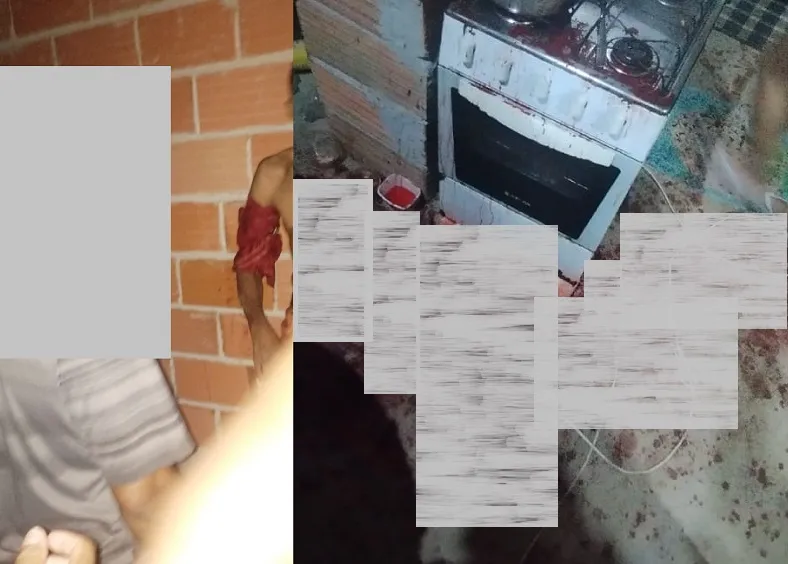 Mulher esfaqueia companheiro e foge para a mata em Linhares