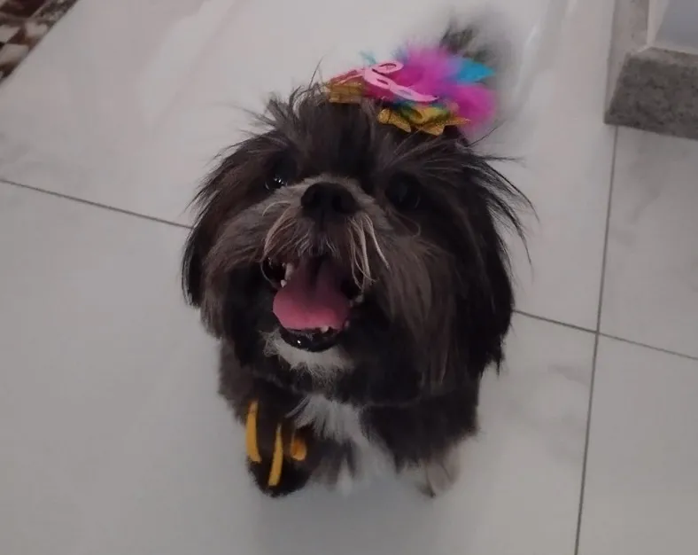 Olha ela aí! Penélope está em casa e feliz da vida