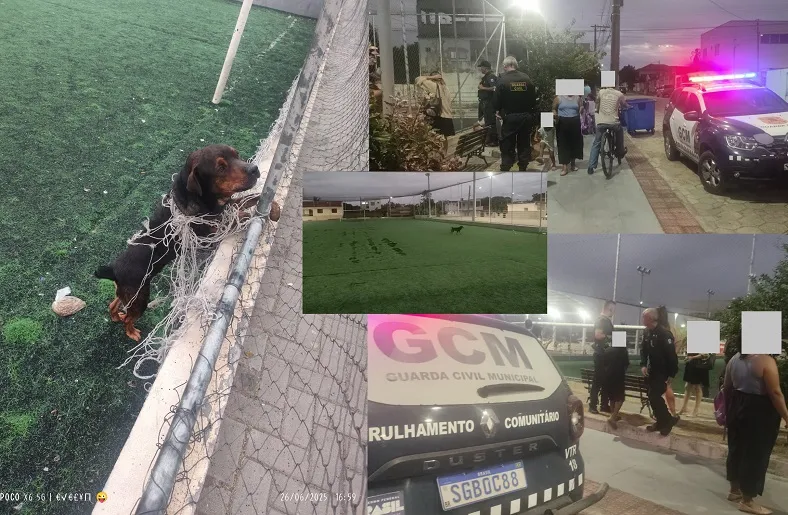 Dogão feroz se prende na rede de campo de futebol no São José, Linhares