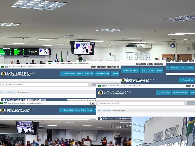 Diárias: 5 vereadores não viajaram, mas tem quem dobrou salário em junho na Câmara Municipal de Linhares