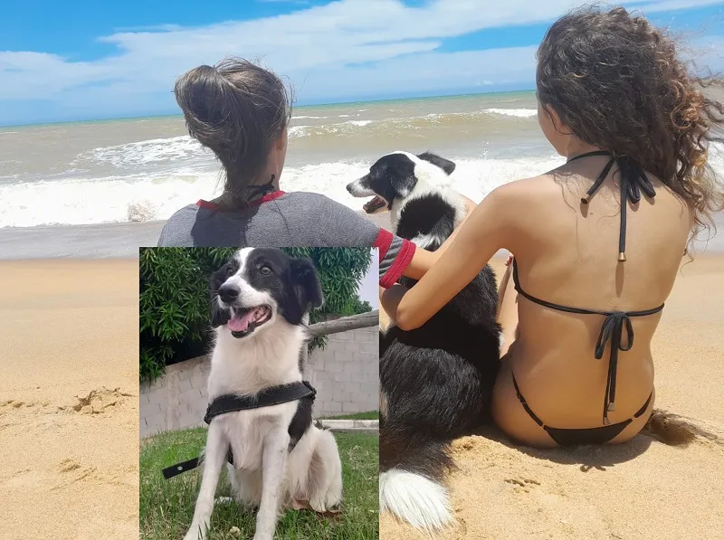 Tem recompensa: Benjamin foge no Araçá. Ele é idoso e cego de 1 olho