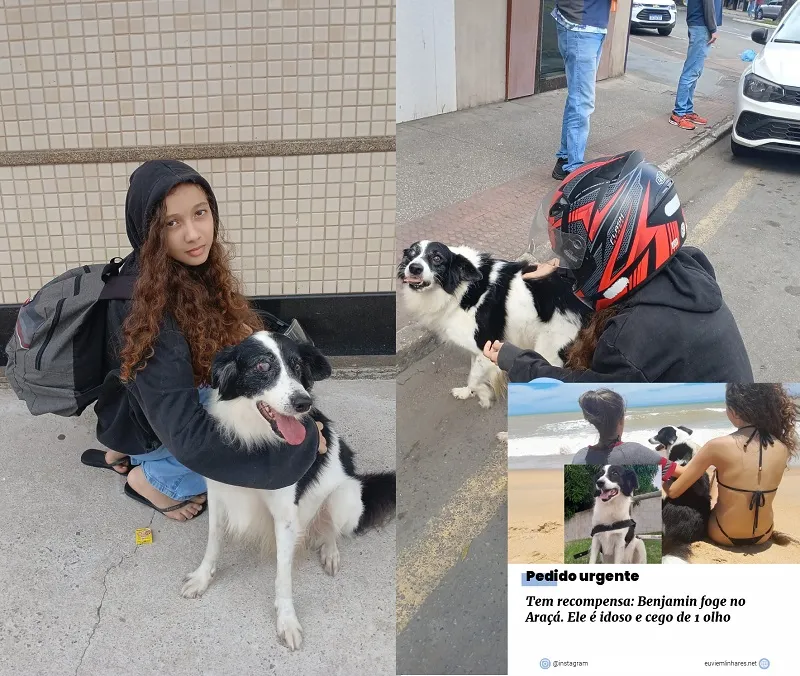 Benjamin encontrado! Corrente do bem outra vez faz a diferença