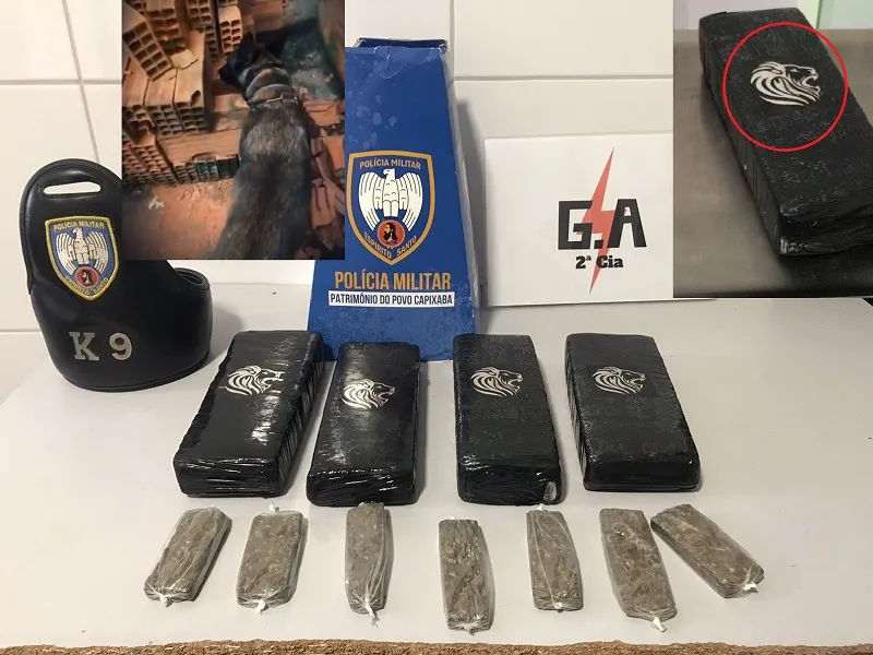 Tabletões de maconha apreendidos na Invasão do Juparanã, Linhares. DG é citado
