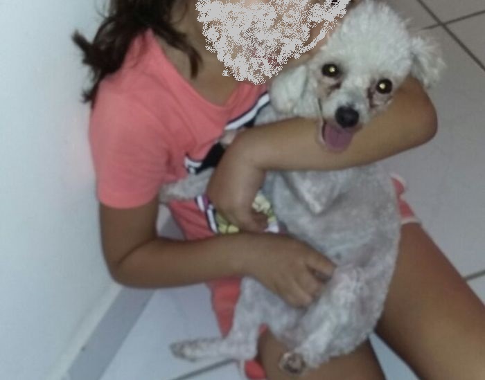 Alegria: Misbela é encontrada e não quer mais sair do colo da dona