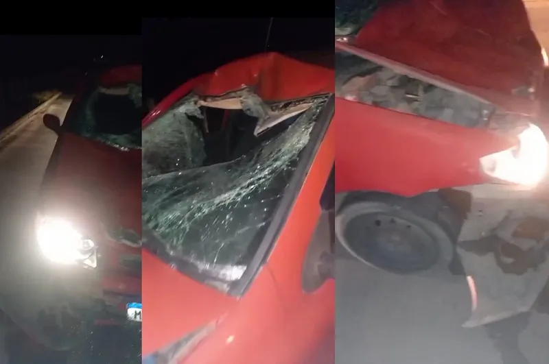 Carro colide com boi na Estrada do Guaxe, interior de Linhares