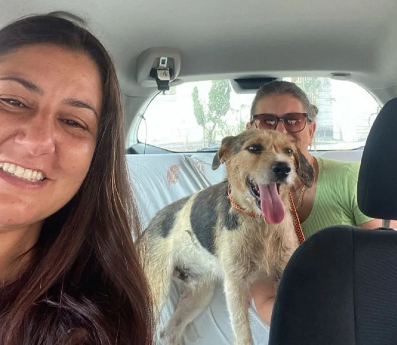 Elas saíram do Pontal para resgatarem doguinho comunitário no Centro de Linhares