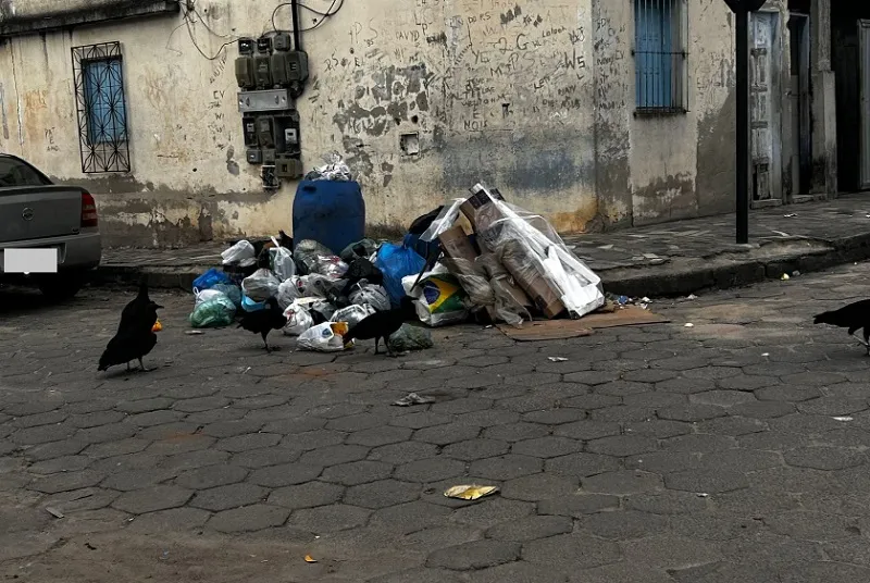 Urubus e lixo em esquina de bairro geram reclamações em Linhares. “Na frente da minha casa”