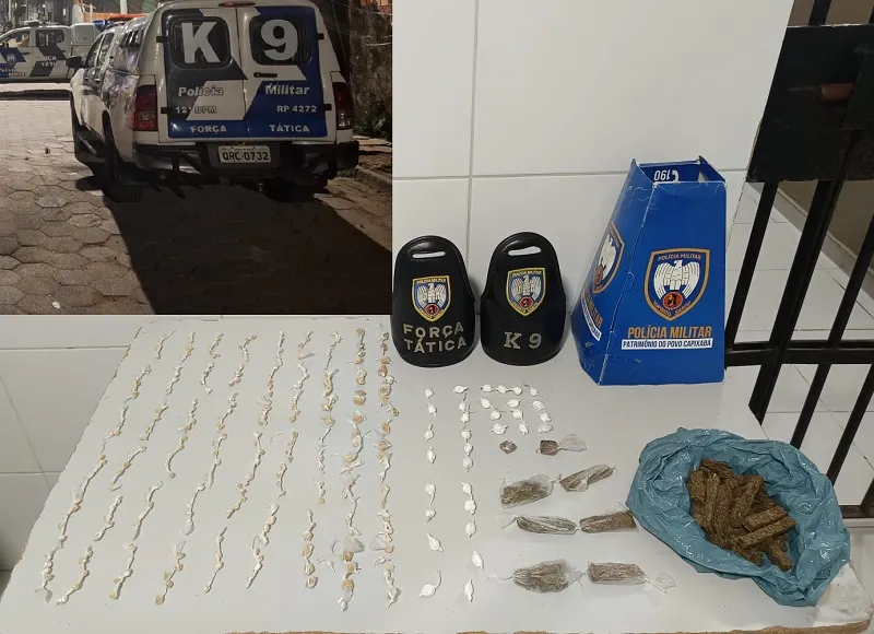 Pó do Aviso: Drogas apreendidas pela Força Tática e k-9 em Linhares