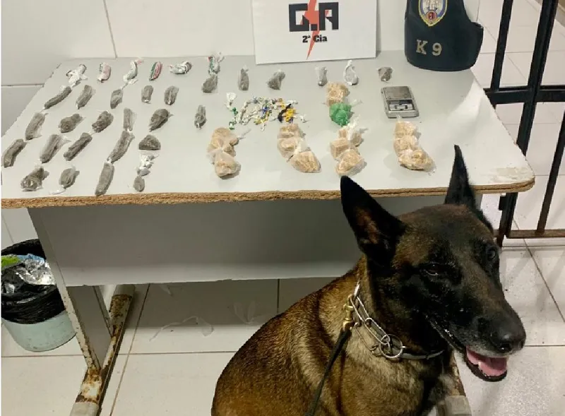 Porto do Bote: Droga escondida no telhado, Interlagos, Linhares