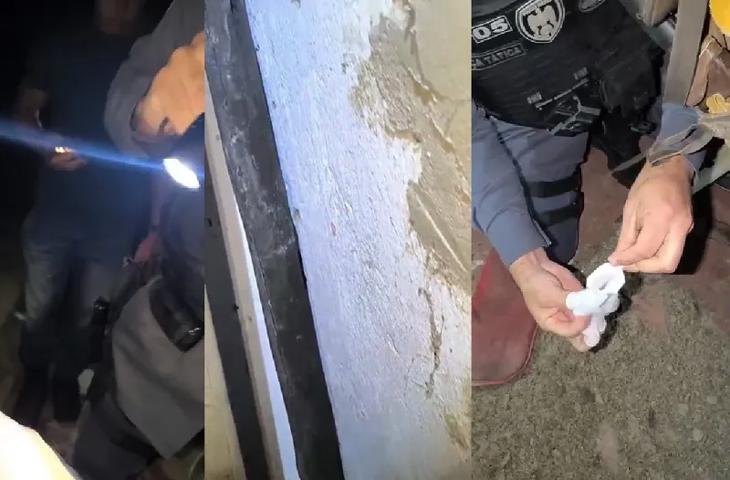 Vaqueiro confessa morte de idosa para roubar gados da vítima. Mulher era fazendeira