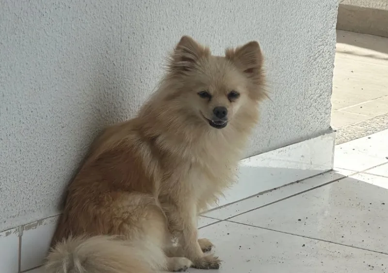 Sol foge no Planalto, ela é de um bebê de 4 meses