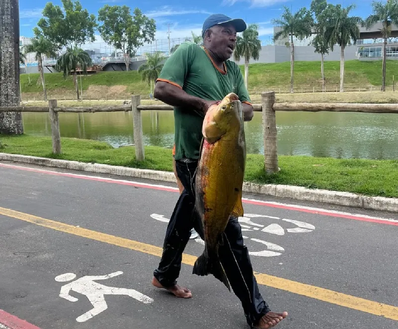Vejam o peixão pescado na Linha Verde, Linhares