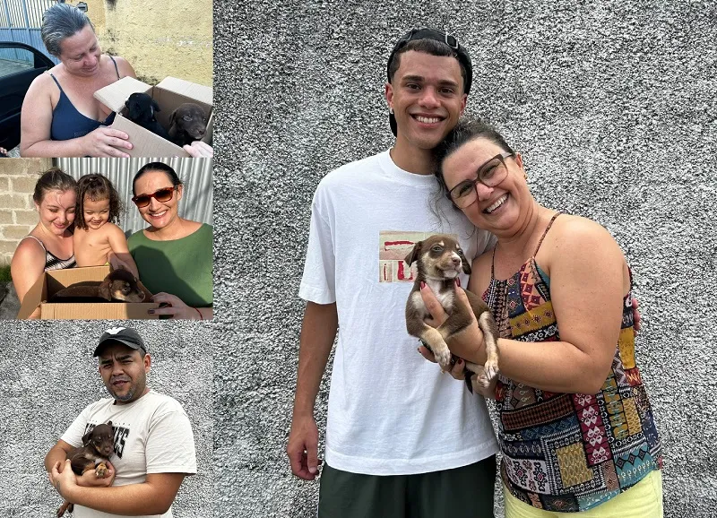 Abandonados em Linhares: “Conseguimos lares para todos”