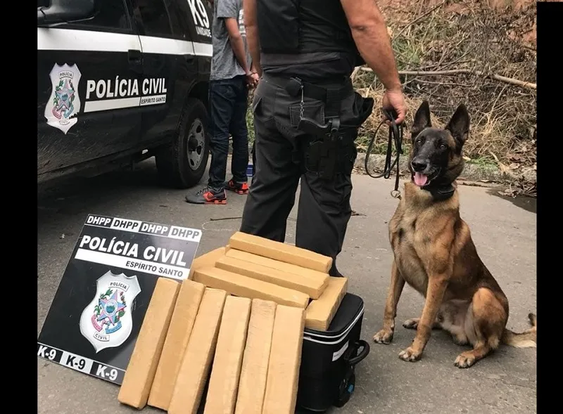 Morre Zack, primeiro cão do DHPP da Polícia Civil  no ES