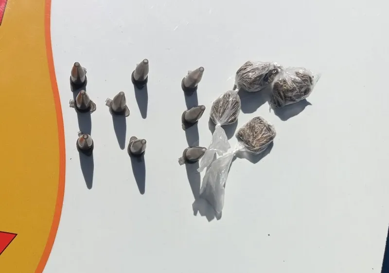 Cocaína e maconha apreendidas na Linha Verde, Linhares