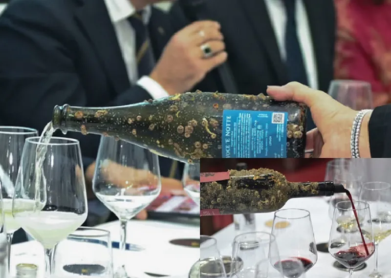 O que acontece quando vinhos passam 12 meses submersos?