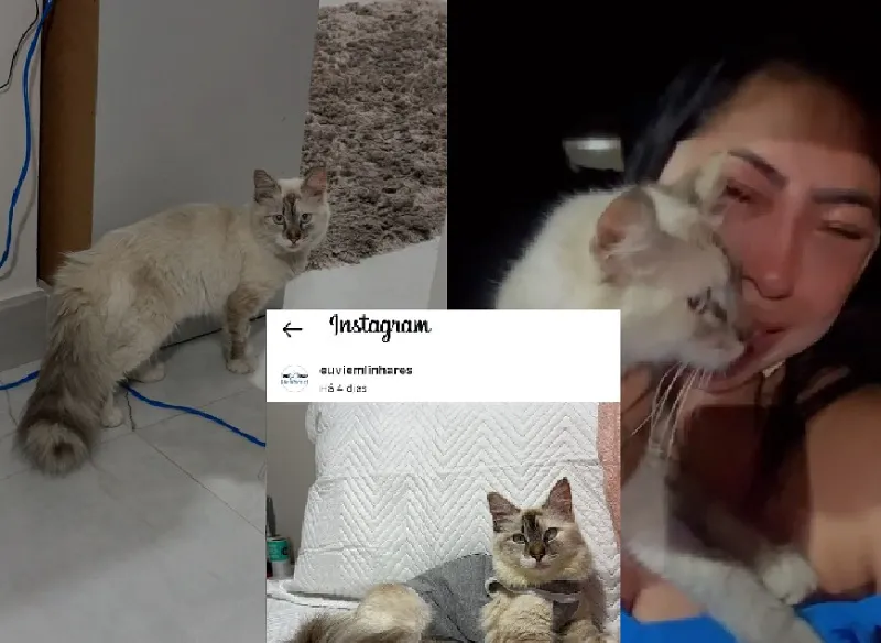 Lilica encontrada! Reencontro com a tutora foi emocionante