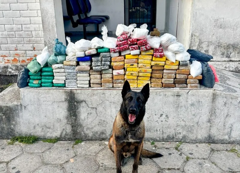 R$ 5 milhões de prejú pro tráfico: Repercute grande apreensão de drogas em São Mateus