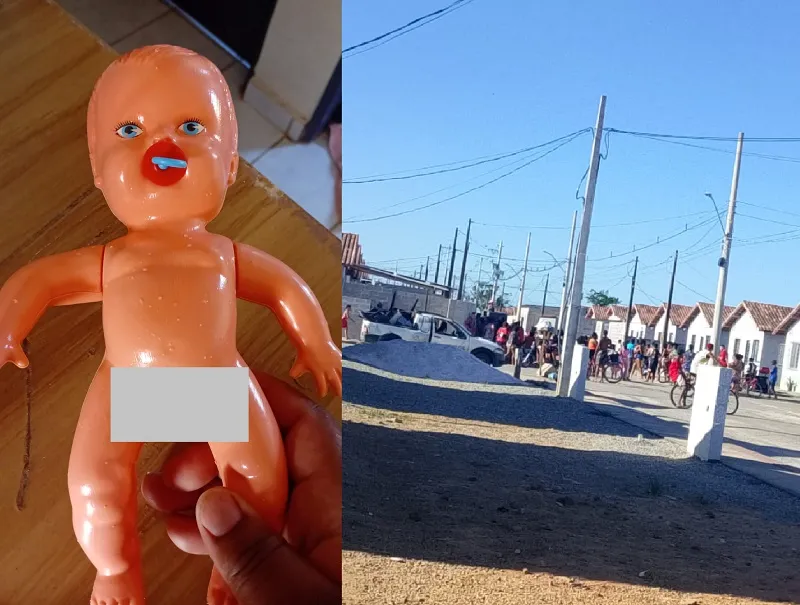 Bonecos com órgãos genitais à mostra constrangem moradores durante ação em Linhares