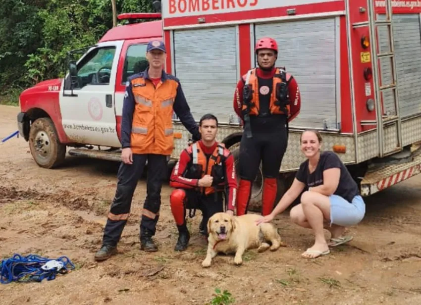 Corpo de Bombeiros resgata cachorro em meio à correnteza. Foi em Conceição do Castelo