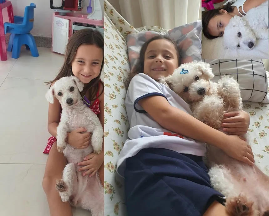 Recompensa: Nina foge no Interlagos. Garotinha que cresceu com ela não para de chorar