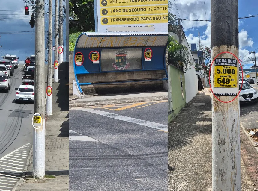 Homem cola cartazes em (todos) postes e abrigos de ônibus em bairro nobre de Linhares