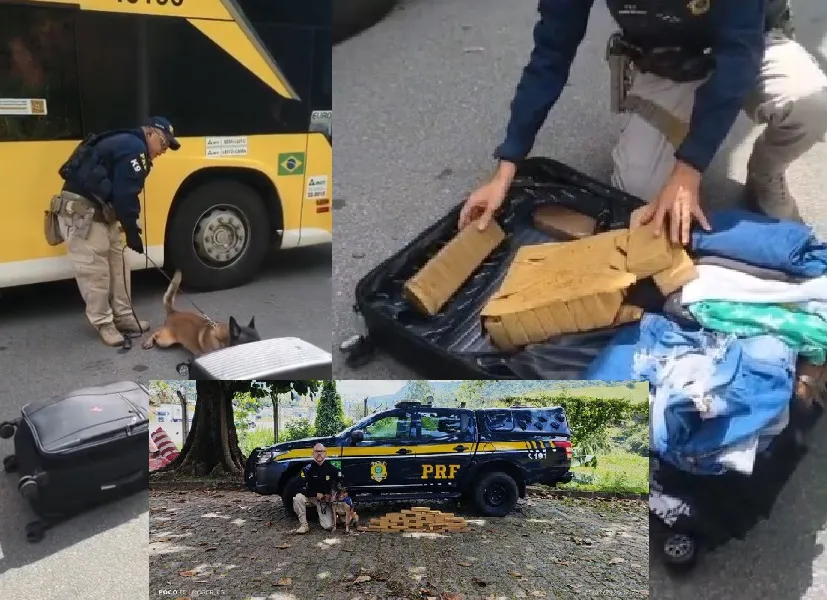 27 tabletes de maconha apreendidos com passageira de ônibus em Guarapari