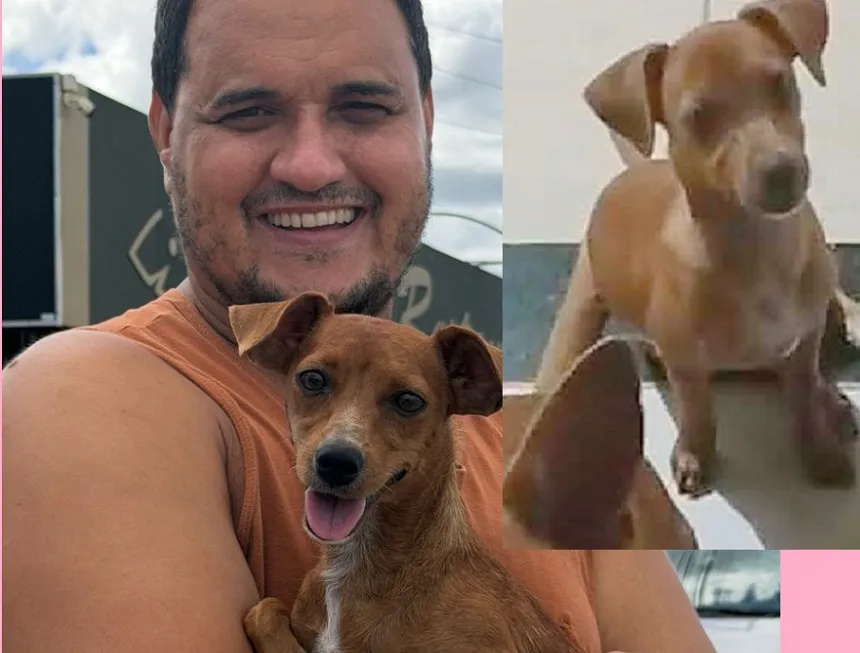 Loira é encontrada após verdadeira aventura em Linhares