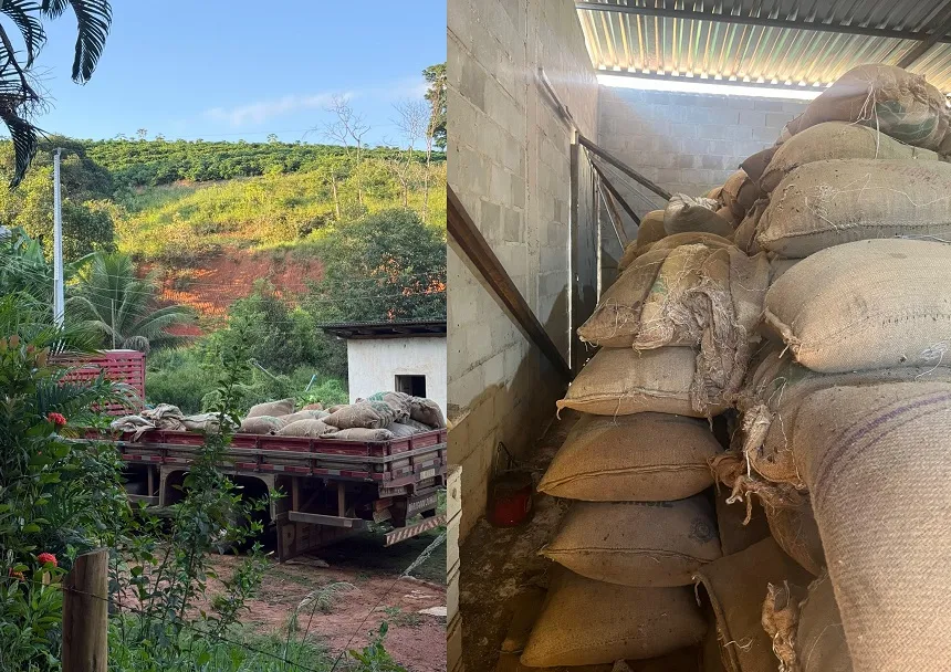 Furto de 50 sacas de café em Linhares: Polícia Civil recupera quase todas