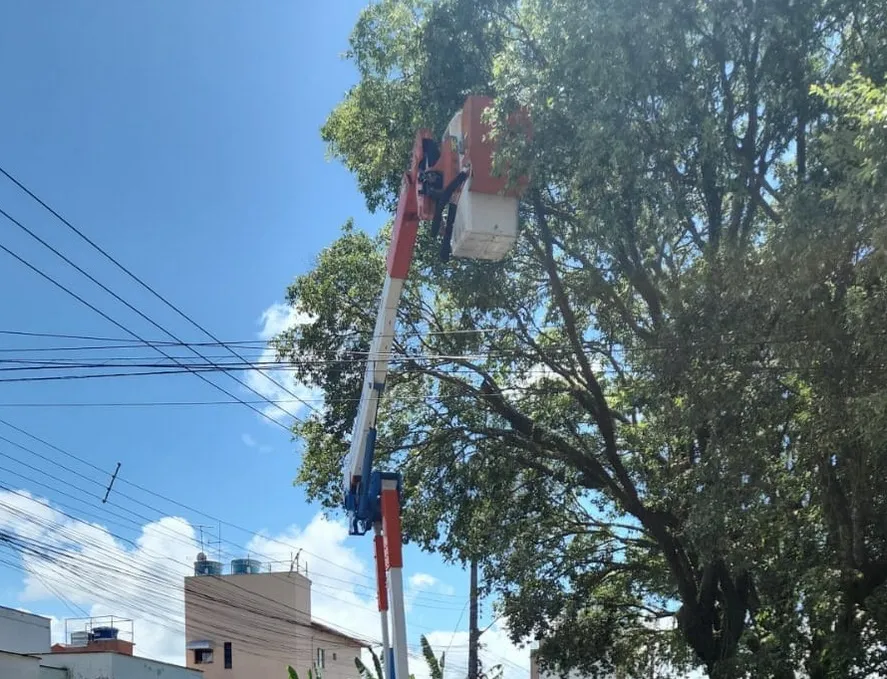 EDP realiza mutirão de poda de árvores em Aracruz