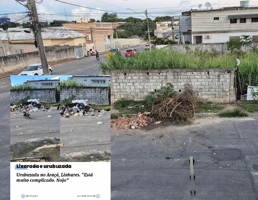 Tudo limpinho onde havia urubuzada: “Foi só vocês publicarem”