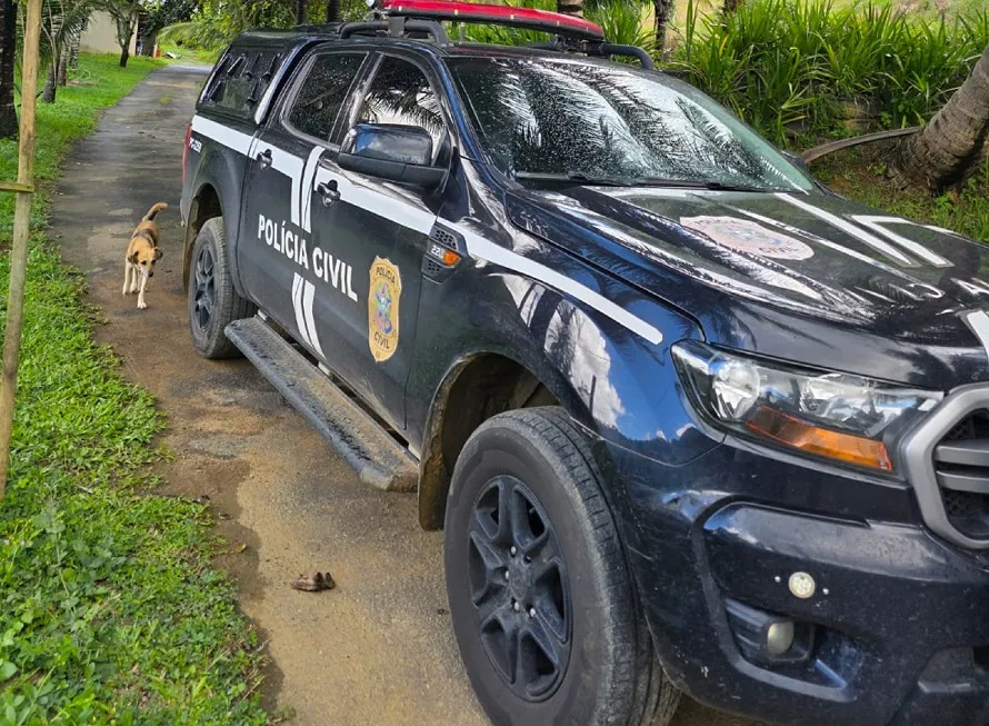 'Gato' no restaurante e loja de reboque leva comerciantes para a delegacia no ES